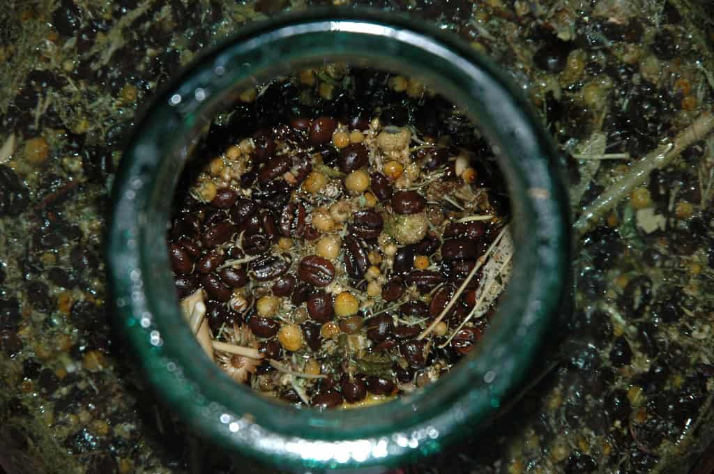 Ratafia